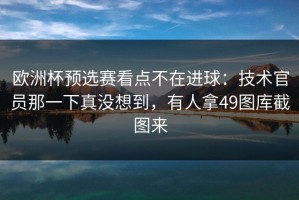 欧洲杯预选赛看点不在进球：技术官员那一下真没想到，有人拿49图库截图来