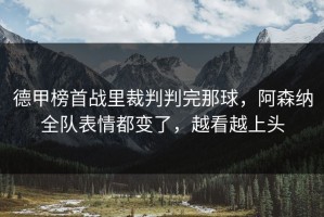 德甲榜首战里裁判判完那球，阿森纳全队表情都变了，越看越上头