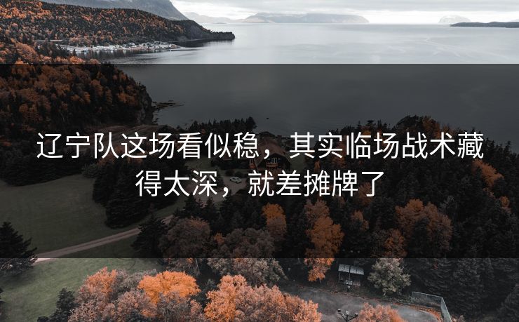 辽宁队这场看似稳，其实临场战术藏得太深，就差摊牌了