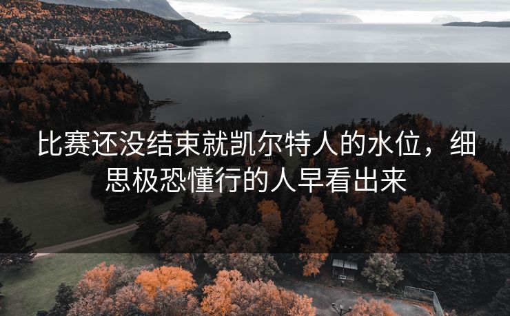 比赛还没结束就凯尔特人的水位，细思极恐懂行的人早看出来