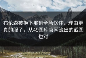 布伦森被换下那刻全场愣住，理由更真的服了，从49图库官网流出的截图也对