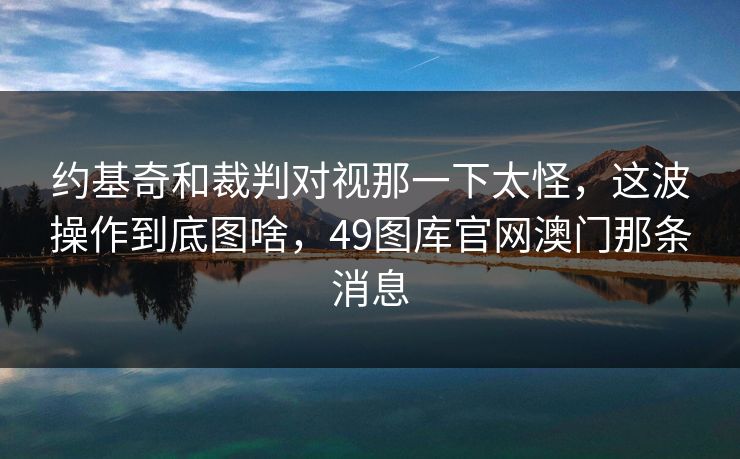 约基奇和裁判对视那一下太怪，这波操作到底图啥，49图库官网澳门那条消息
